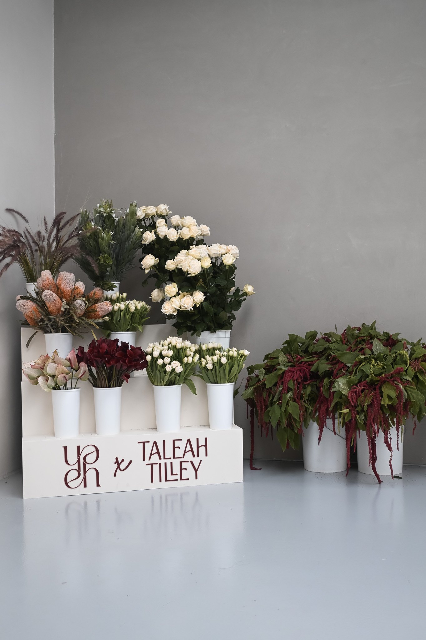 Editorial Haus x Taleah Tilley brand collaboration in the studio